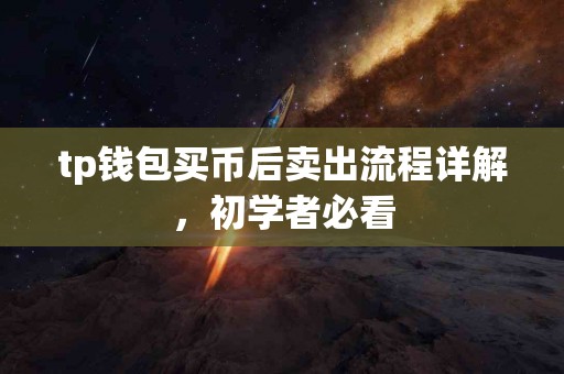 tp钱包买币后卖出流程详解，初学者必看