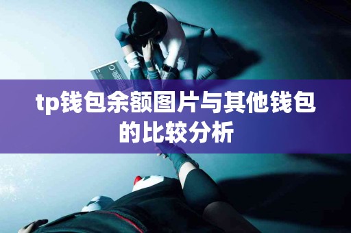 tp钱包余额图片与其他钱包的比较分析