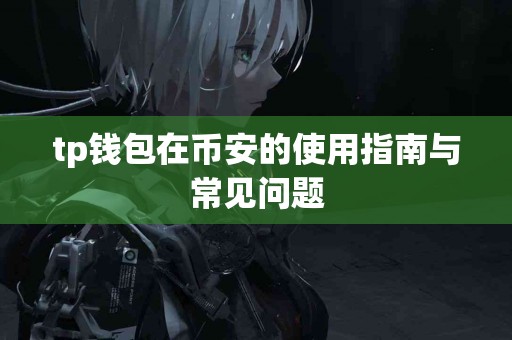 tp钱包在币安的使用指南与常见问题