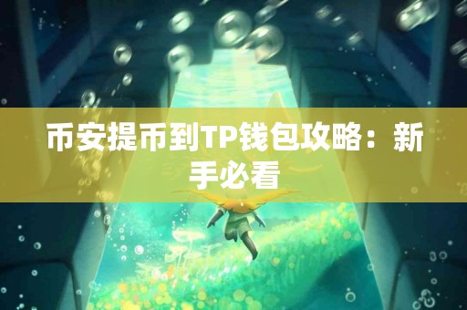 币安提币到TP钱包攻略：新手必看