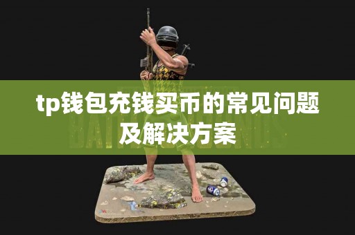 tp钱包充钱买币的常见问题及解决方案