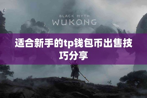 适合新手的tp钱包币出售技巧分享