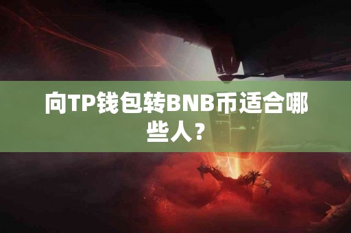 向TP钱包转BNB币适合哪些人？