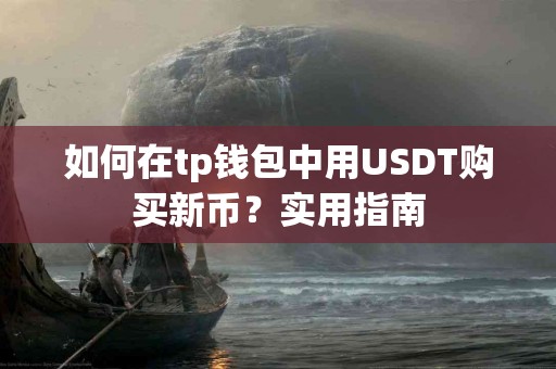 如何在tp钱包中用USDT购买新币？实用指南