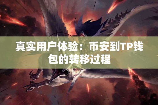 真实用户体验：币安到TP钱包的转移过程