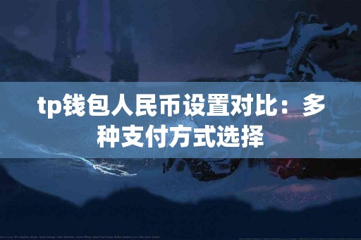 tp钱包人民币设置对比：多种支付方式选择