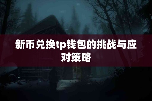 新币兑换tp钱包的挑战与应对策略