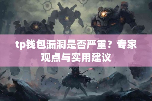 tp钱包漏洞是否严重？专家观点与实用建议