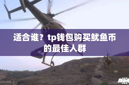 适合谁？tp钱包购买鱿鱼币的最佳人群