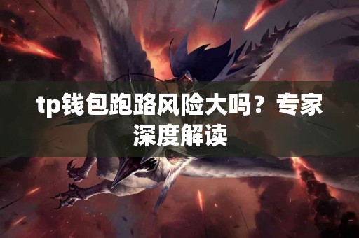 tp钱包跑路风险大吗？专家深度解读