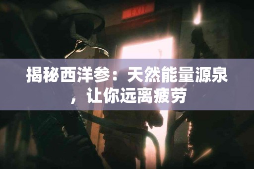 揭秘西洋参：天然能量源泉，让你远离疲劳