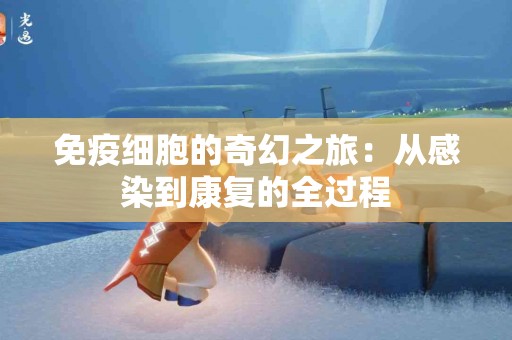 免疫细胞的奇幻之旅：从感染到康复的全过程