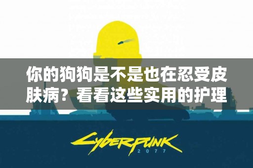 你的狗狗是不是也在忍受皮肤病？看看这些实用的护理技巧！