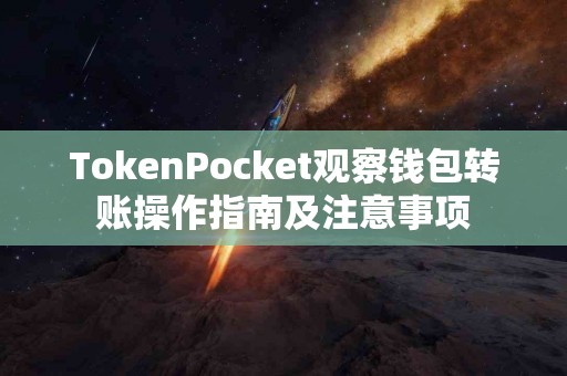 TokenPocket观察钱包转账操作指南及注意事项