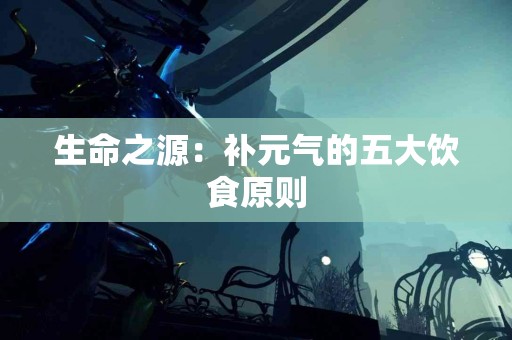 生命之源：补元气的五大饮食原则