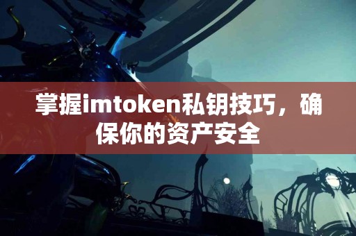 掌握imtoken私钥技巧，确保你的资产安全