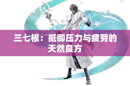 三七根：抵御压力与疲劳的天然良方