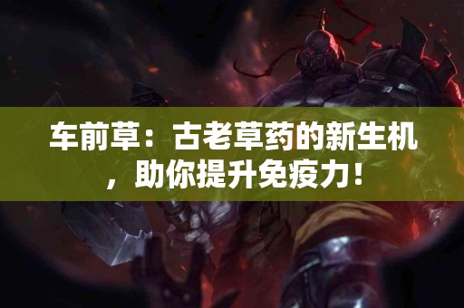 车前草：古老草药的新生机，助你提升免疫力！