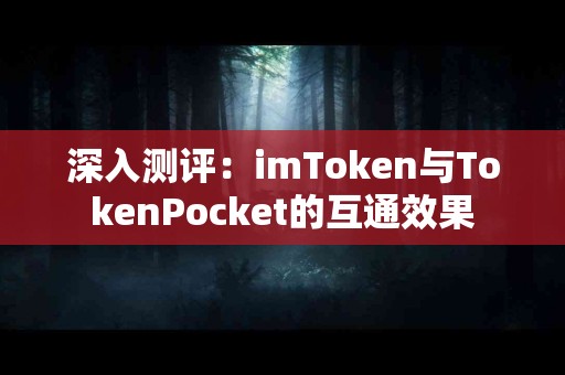 深入测评：imToken与TokenPocket的互通效果