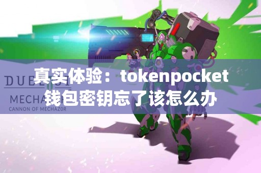 真实体验：tokenpocket钱包密钥忘了该怎么办