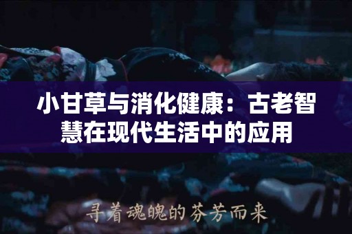 小甘草与消化健康：古老智慧在现代生活中的应用