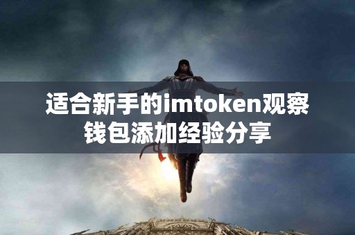 适合新手的imtoken观察钱包添加经验分享