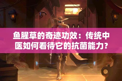 鱼腥草的奇迹功效：传统中医如何看待它的抗菌能力？