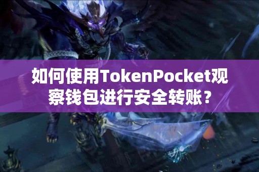如何使用TokenPocket观察钱包进行安全转账？