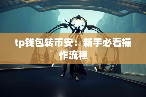 tp钱包转币安：新手必看操作流程