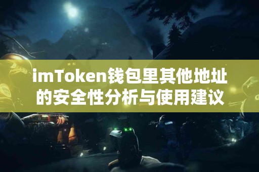 imToken钱包里其他地址的安全性分析与使用建议
