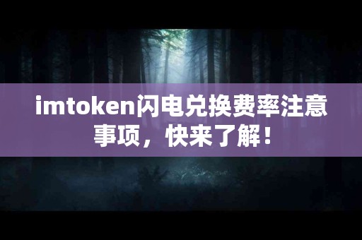 imtoken闪电兑换费率注意事项，快来了解！