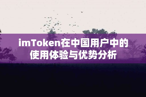 imToken在中国用户中的使用体验与优势分析