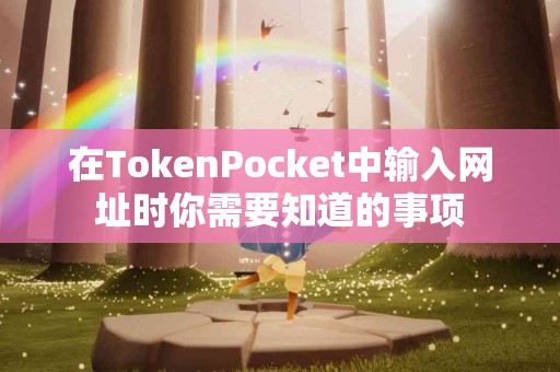 在TokenPocket中输入网址时你需要知道的事项