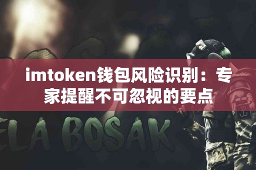 imtoken钱包风险识别：专家提醒不可忽视的要点
