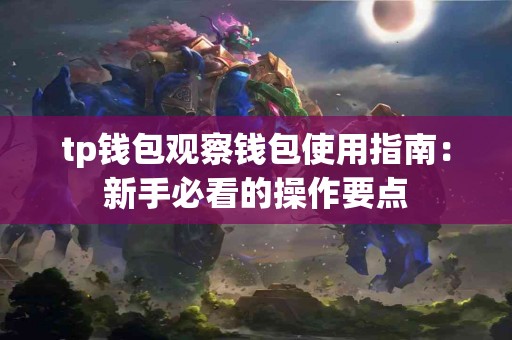 tp钱包观察钱包使用指南：新手必看的操作要点