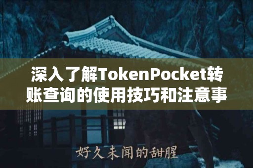 深入了解TokenPocket转账查询的使用技巧和注意事项