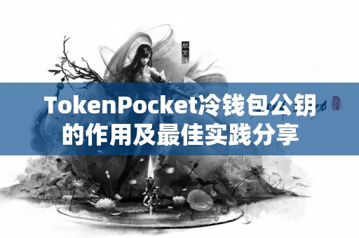 TokenPocket冷钱包公钥的作用及最佳实践分享