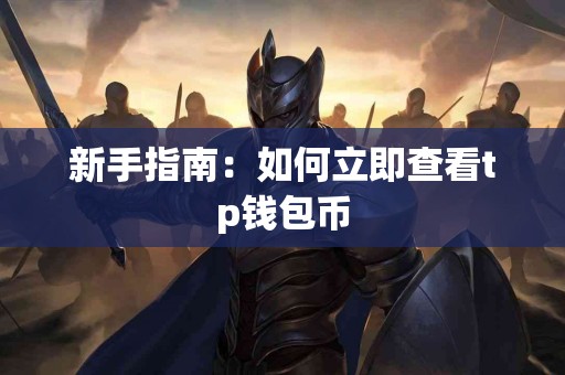新手指南：如何立即查看tp钱包币
