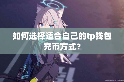 如何选择适合自己的tp钱包充币方式？