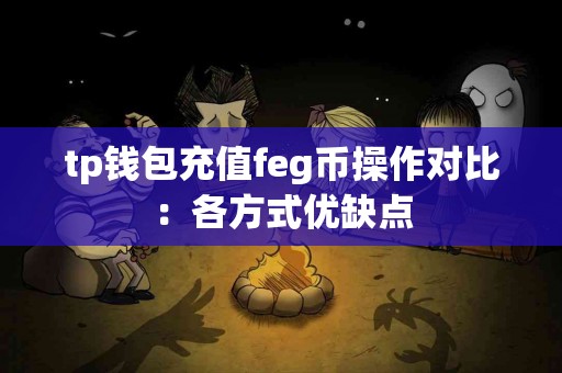 tp钱包充值feg币操作对比：各方式优缺点