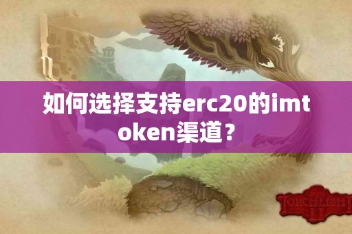 如何选择支持erc20的imtoken渠道？