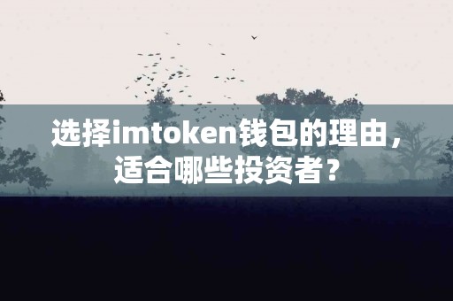 选择imtoken钱包的理由，适合哪些投资者？