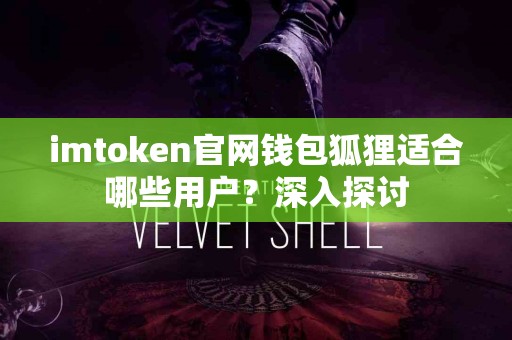 imtoken官网钱包狐狸适合哪些用户？深入探讨