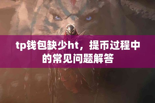 tp钱包缺少ht，提币过程中的常见问题解答