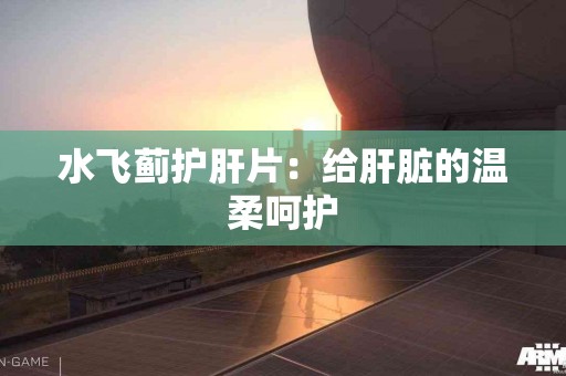 水飞蓟护肝片：给肝脏的温柔呵护