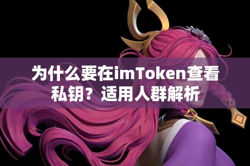 为什么要在imToken查看私钥？适用人群解析