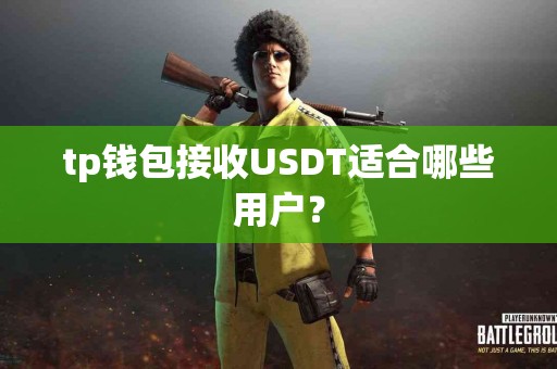 tp钱包接收USDT适合哪些用户？