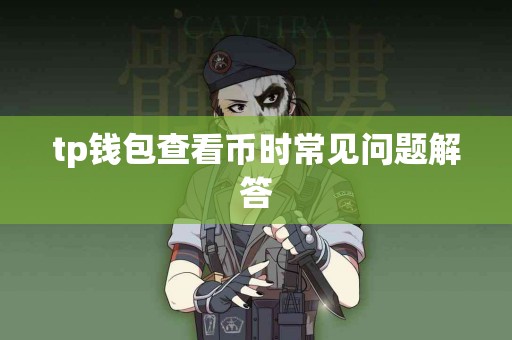 tp钱包查看币时常见问题解答