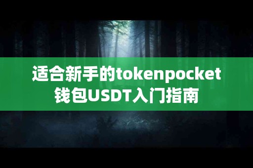 适合新手的tokenpocket钱包USDT入门指南