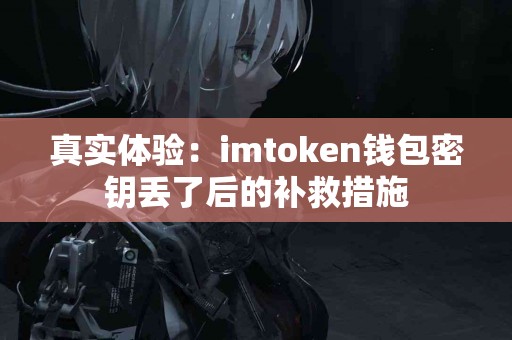 真实体验：imtoken钱包密钥丢了后的补救措施